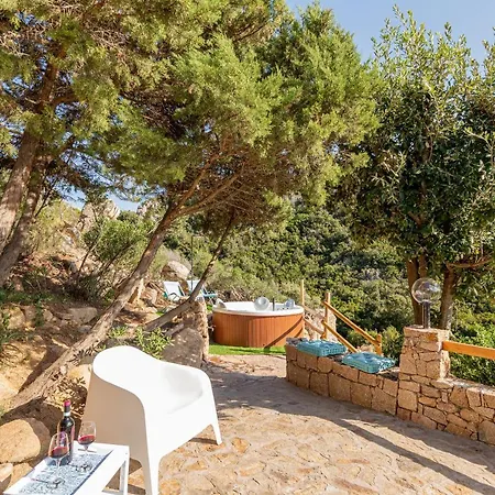Assenzia Plant Villa *