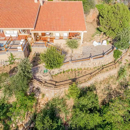Assenzia Plant Villa *