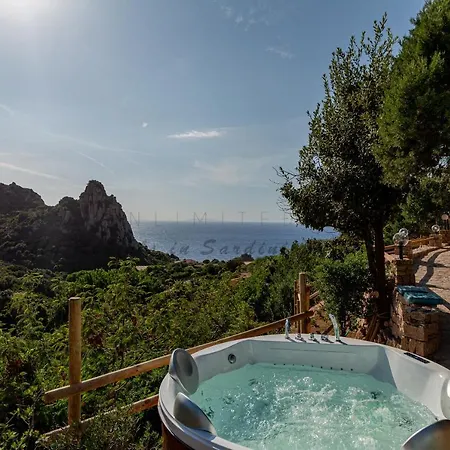 Assenzia Plant Villa *