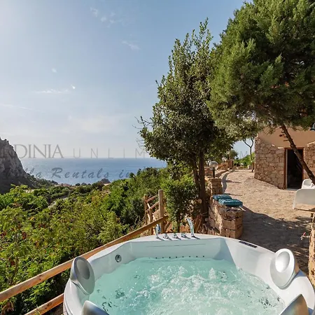 Assenzia Plant Villa *