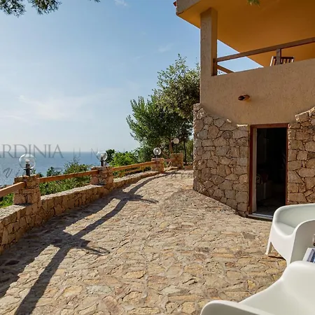 Assenzia Plant Villa Costa Paradiso